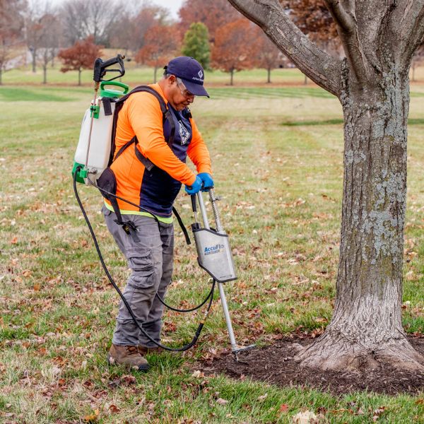 Root fertilization for a tree in a residential property in Tulsa, OK