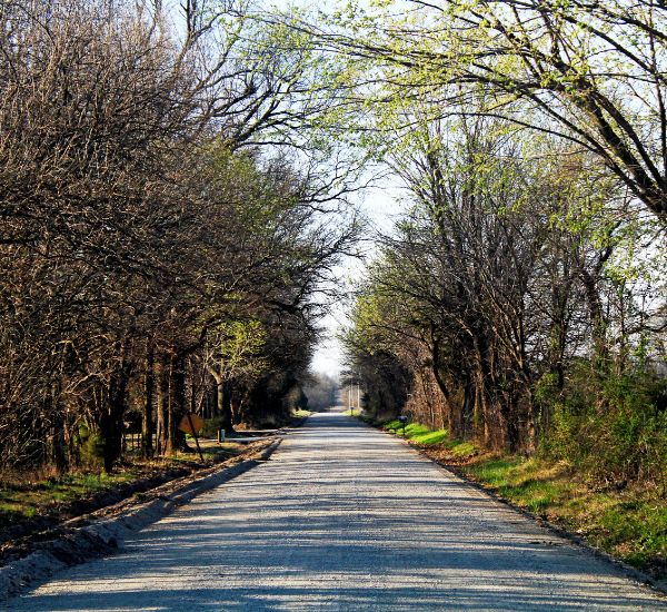 Tree lined road in fall near Augusta, KS