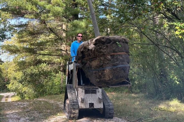 Arbor Master crew on a skid steer with a tree ready for planting