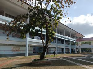 Website-commercial-services-__Building-Clearance-pruning