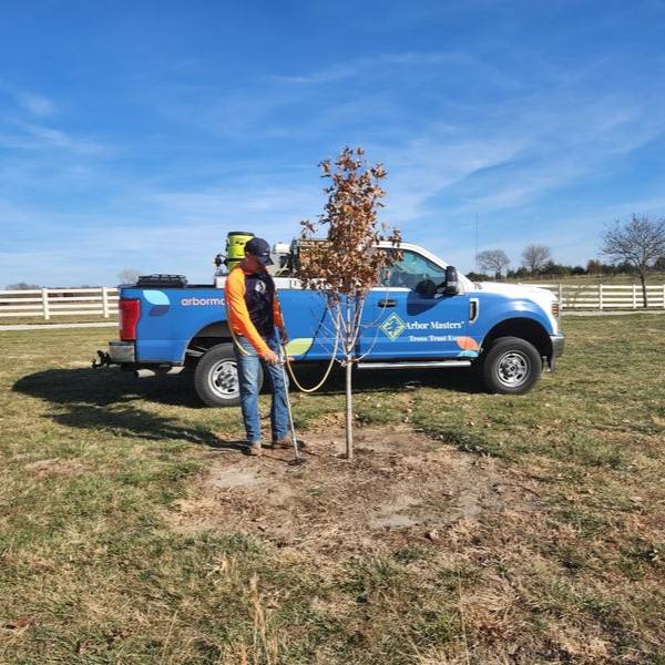 An arborist fertilization service.