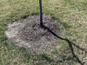 Soil aeration.