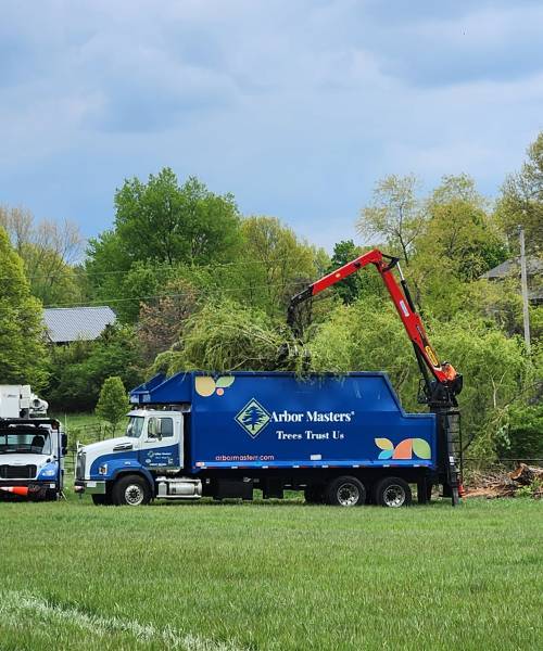 Arbor Masters Truck