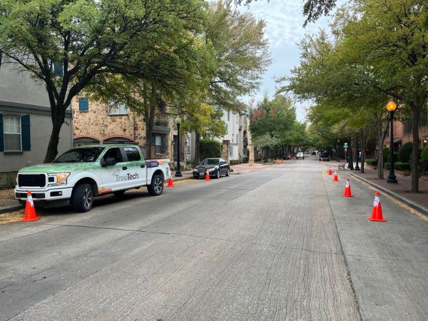 Website-home-dallas-section-treetech-cars-side