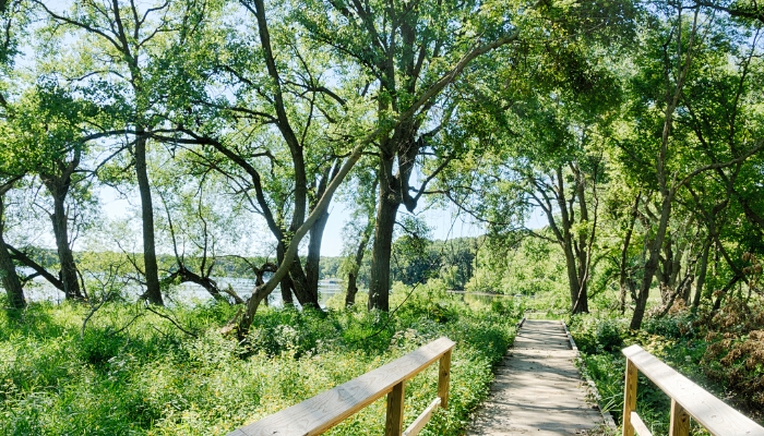 Nature trail with trees in Iowa.