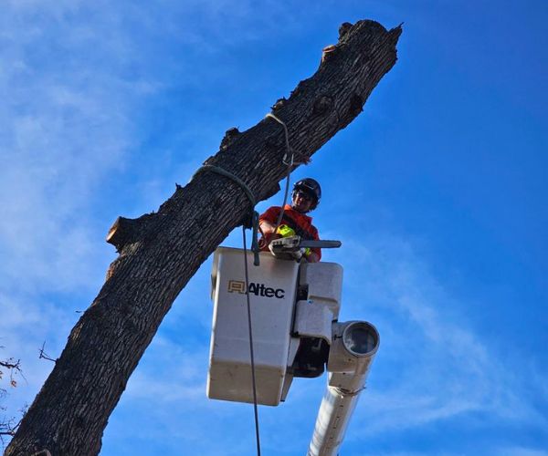 Website-lake-lotawana-section-bucket-removal