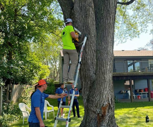 Website-lake-lotawana-section-green-shirt-ladder