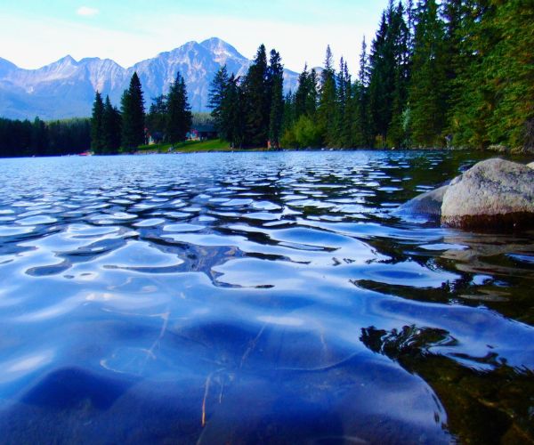 Website-lake-winnebago-section-lake-stone-trees