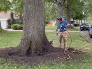 Website-local-service-page-tree-preservation-section-guy-air-spading