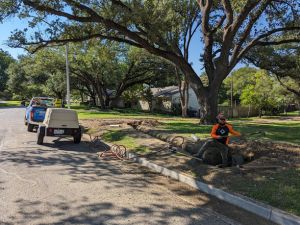 Website-local-service-page-tree-preservation-section-preconstruction-root-system