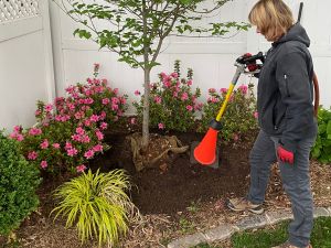 Website-local-service-page-tree-preservation-section-root-flare-excavation