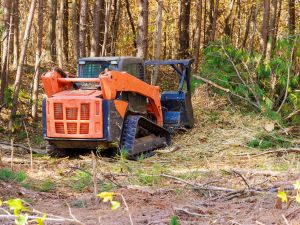 Skidsteer mulcher for commercial clearing.