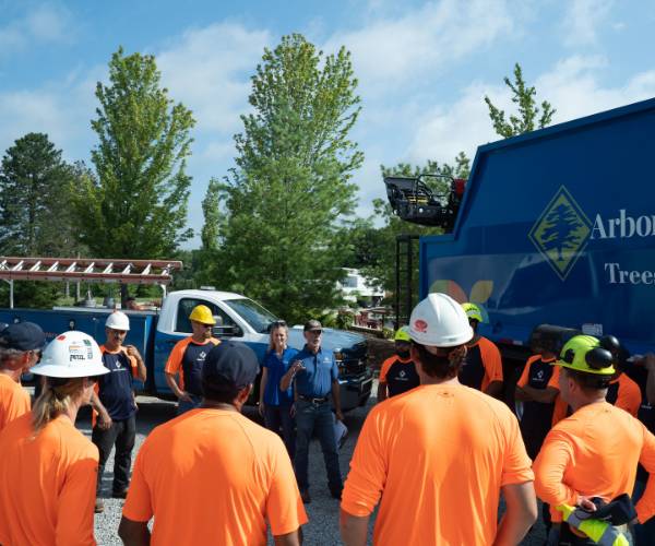 The arbormasters crew huddled up for a meeting before working.