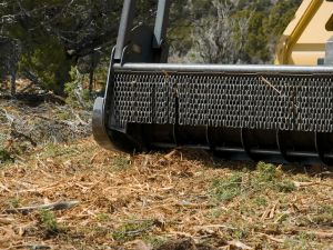 Skidsteer mulcher for residential clearing.