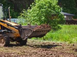 Land Clearing by Arbor Masters.