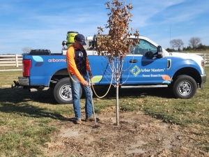 Tree fertilization by Arbor Masters.