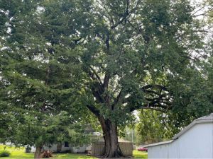 Website-service-box-construction-protection