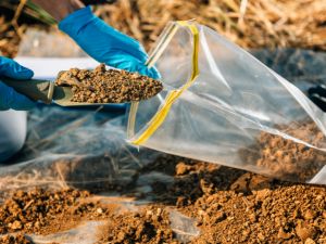 Website-service-box-soil-testing