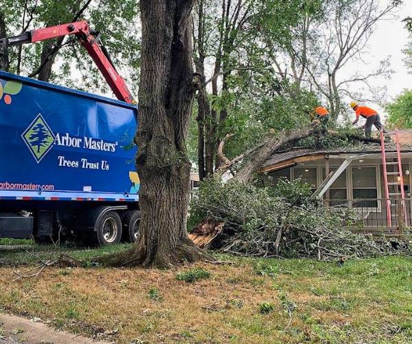 Arbormasters crew doing storm damage response on a fallen tree.