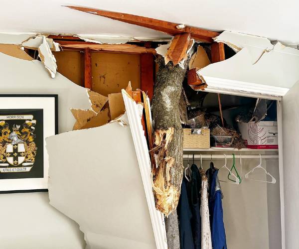 A fallen tree that went through a roof of a client's house.