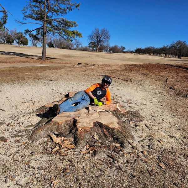 Website-stump-grinding--section-crew-big-stump Website-stump-grinding--section-crew-big-stump