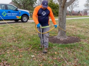 Arbor Masters technician using a soil injector probe to fertilize the root zone of a tree, with a branded Arbor Masters truck parked in the background
