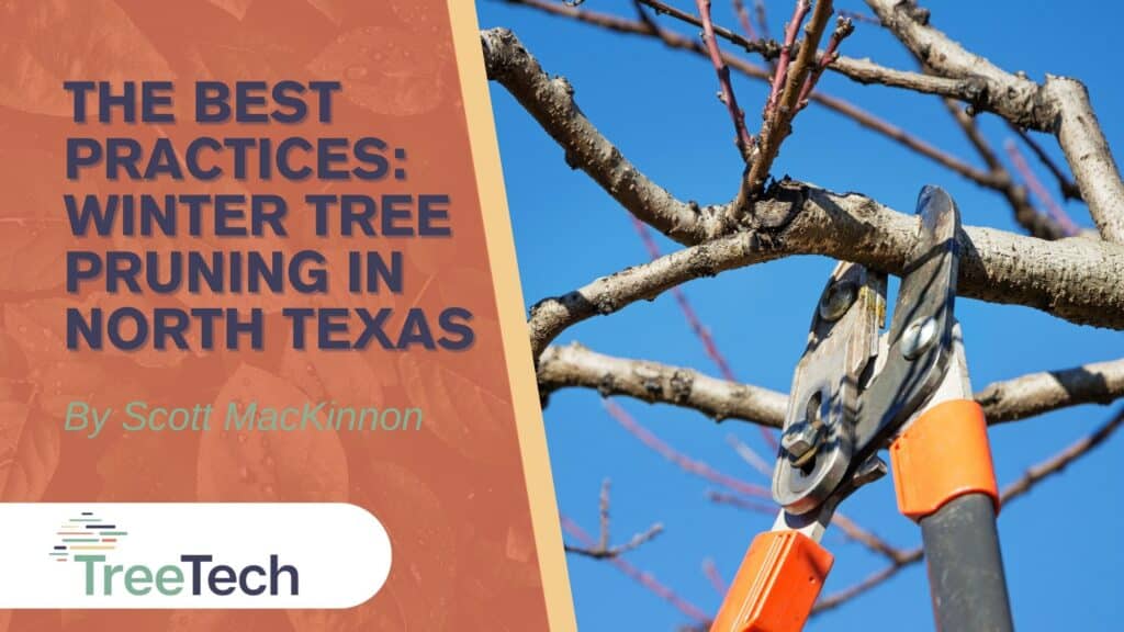The best practices - winter pruning in North Texas