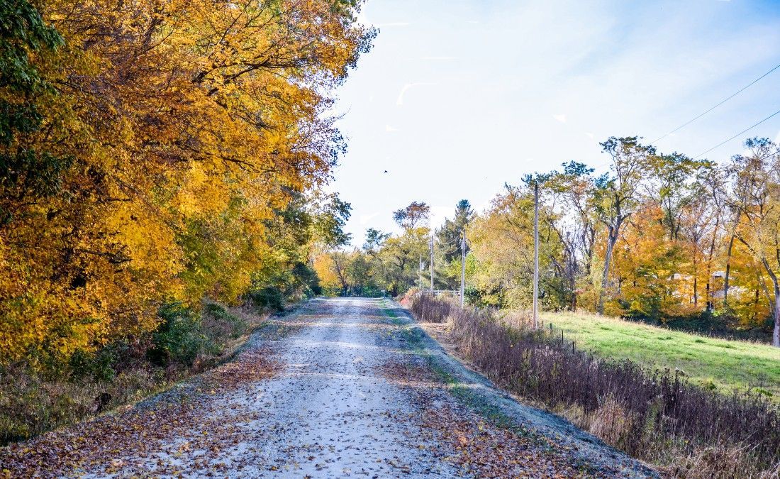 A gravel road through Cedar Rapids lined with trees in full orange and yellow fall color.