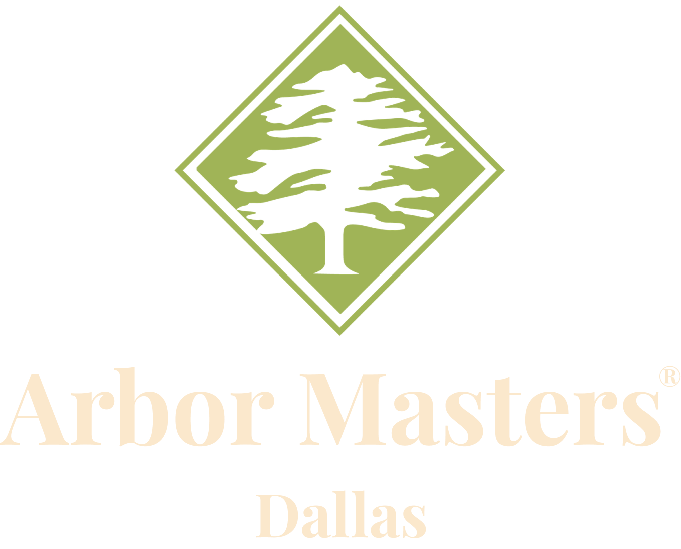 am-dallas-logo-footer