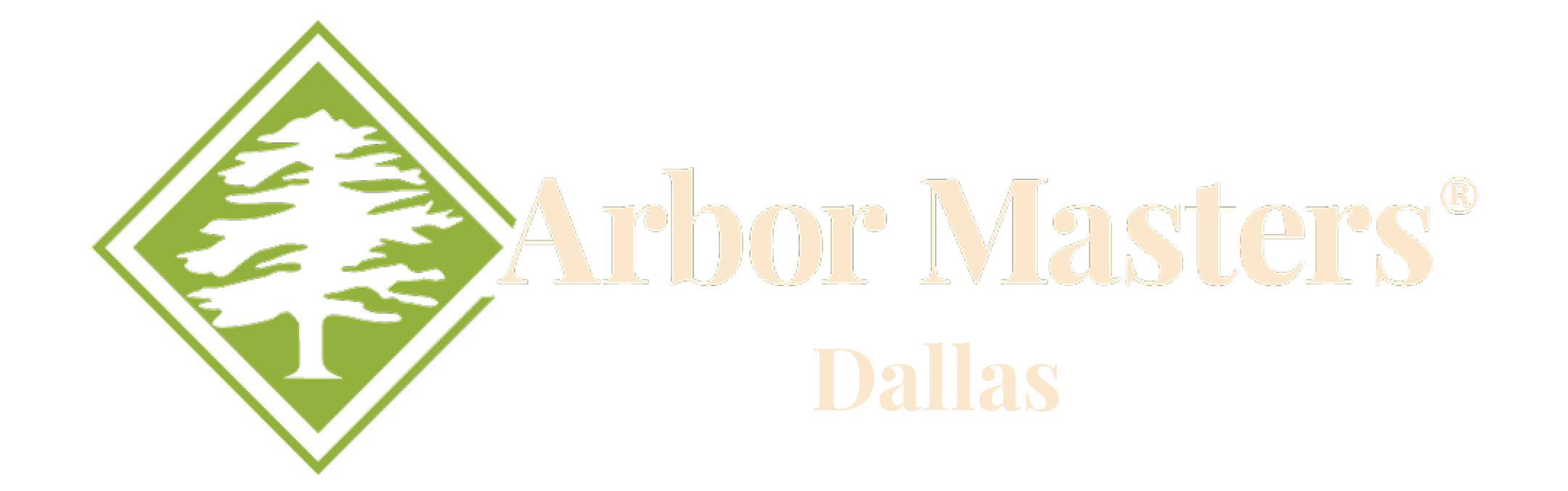am-dallas-logo