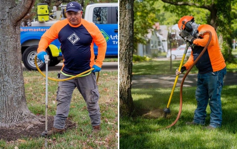 Arbor Masters arborists treating a tree's root zone with air-spading and deep-root soil-injection equipment.
