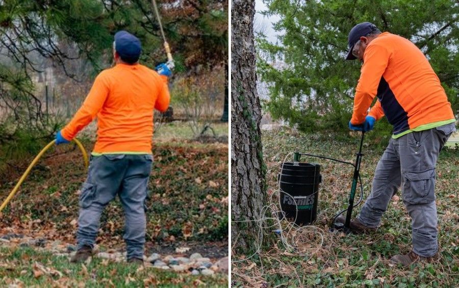 Arbor Masters plant health care technician treating a tree in Cedar Rapids.