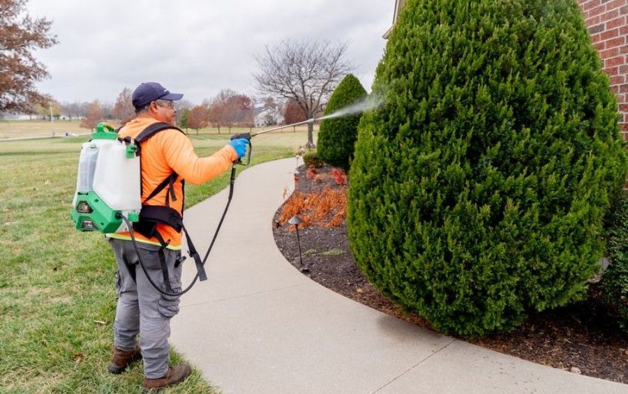 Arbor Masters technician applying a targeted Bt treatment to a tree canopy.