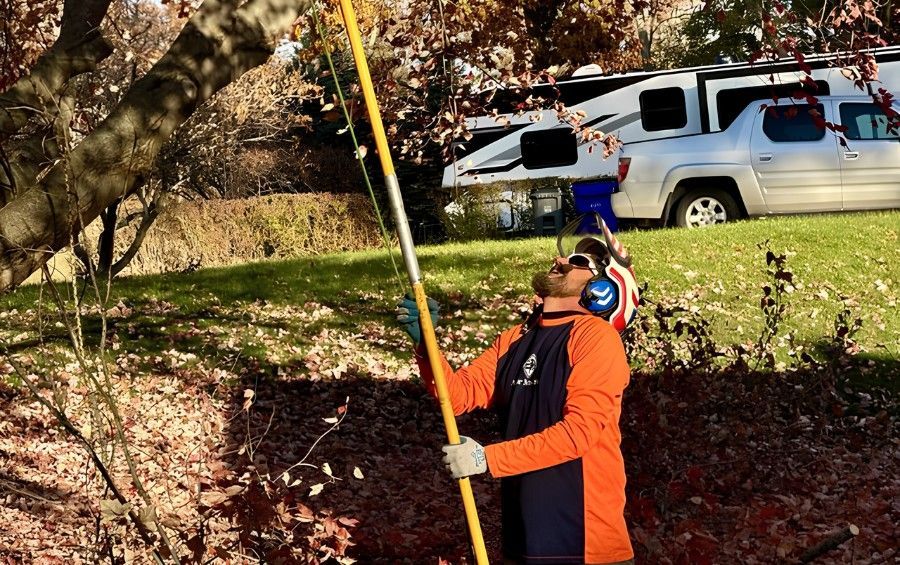 Arborist using a pole saw to prune branches from a mature tree in Oklahoma City.