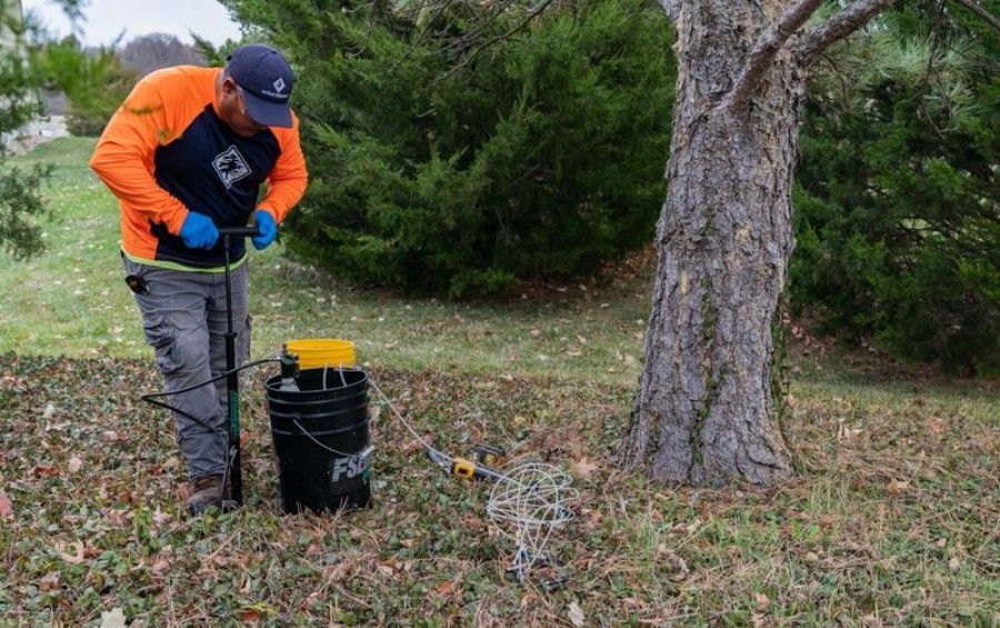 Arbor Masters arborist using a soil probe beside the root zone of a mature tree.