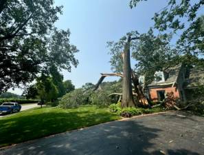 Hazardous Tree removal