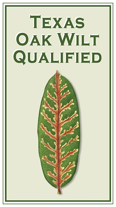 texas-oak-wilt-qualified